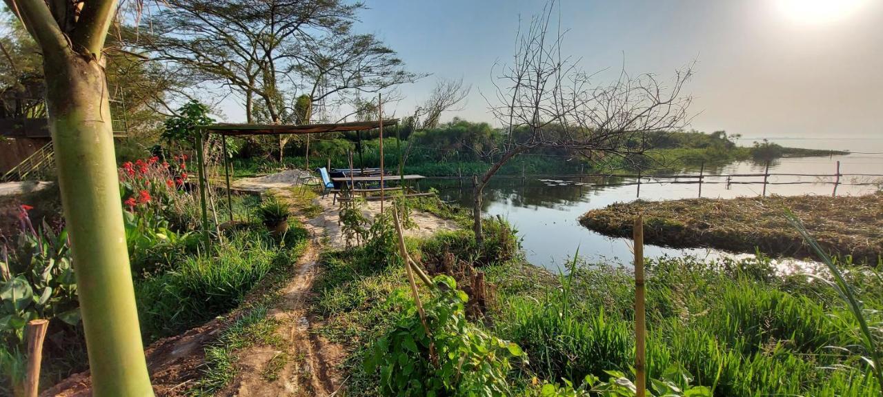 קמפאלה Yellow Haven Lodge מראה חיצוני תמונה