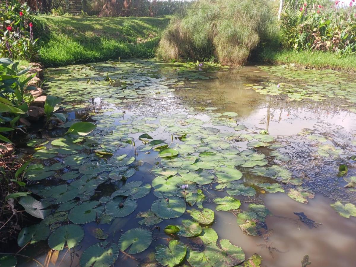 קמפאלה Yellow Haven Lodge מראה חיצוני תמונה