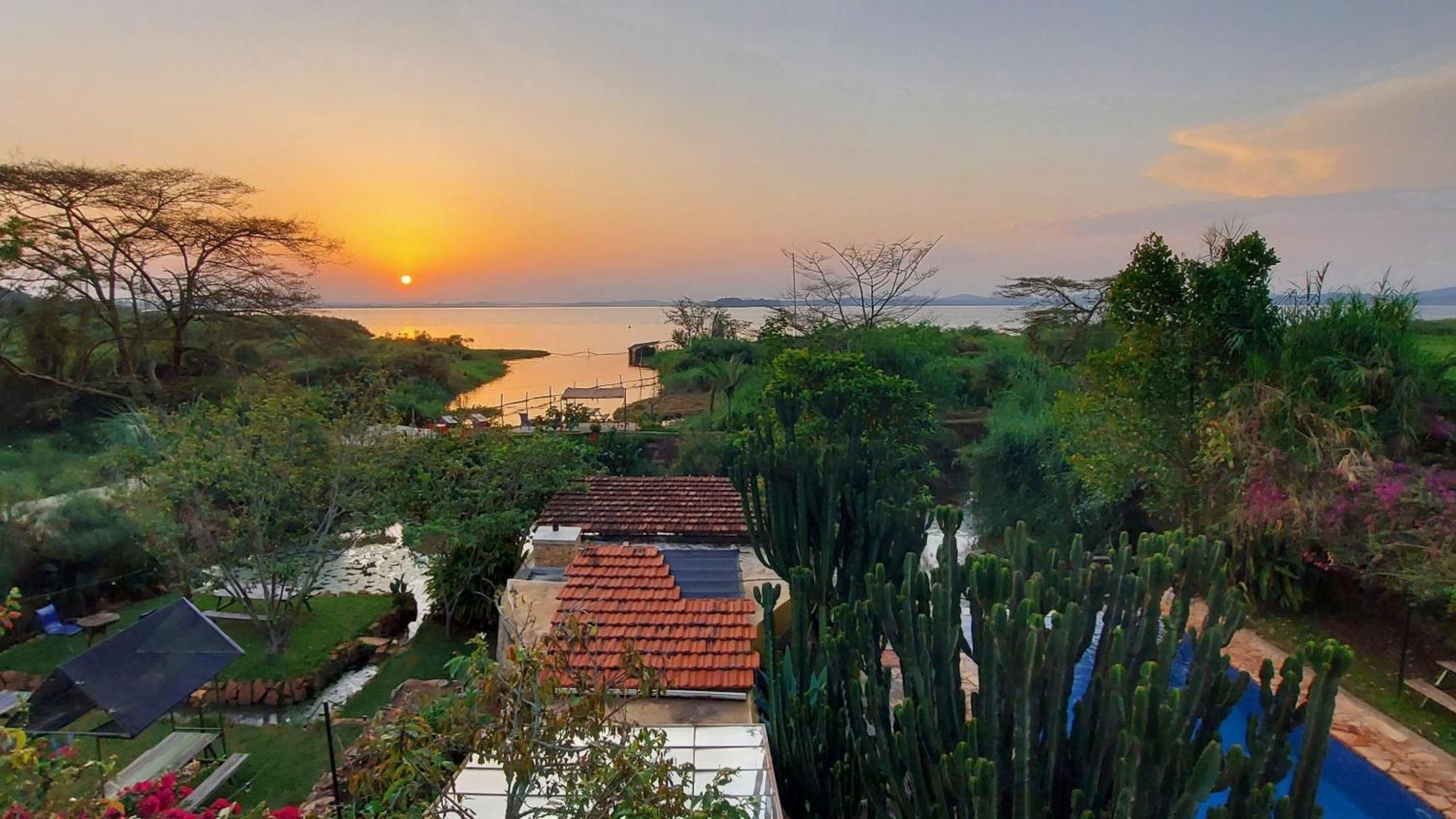 קמפאלה Yellow Haven Lodge מראה חיצוני תמונה