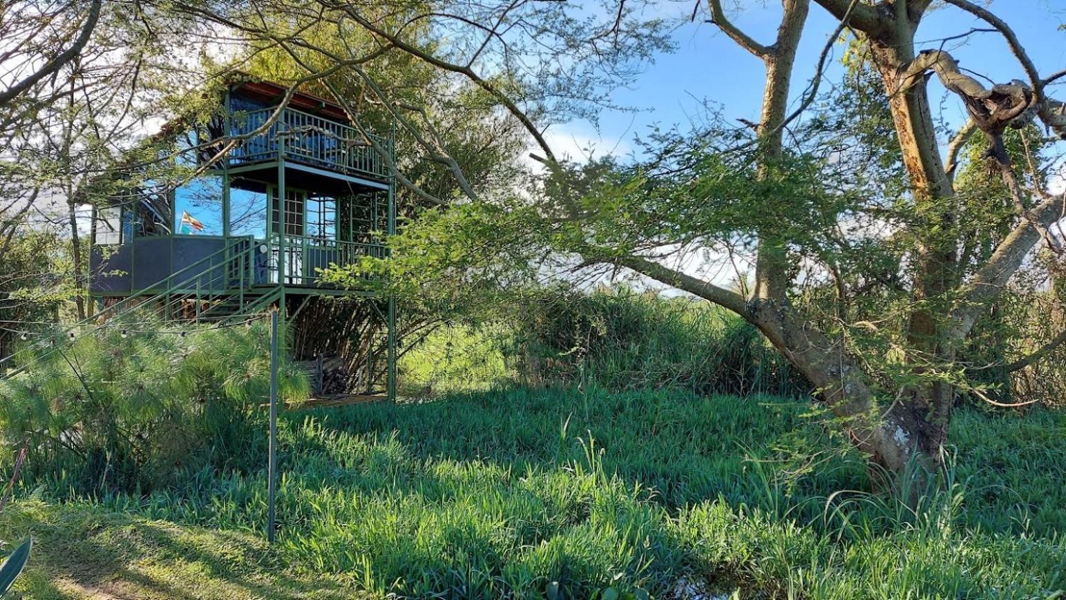 קמפאלה Yellow Haven Lodge מראה חיצוני תמונה